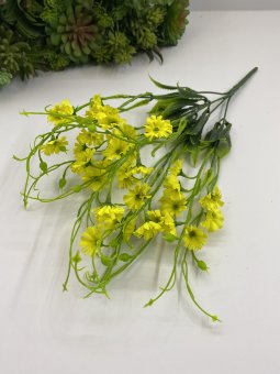 Козья кислица  Кк 326