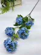Вибурнум пять голов  В 1205-3