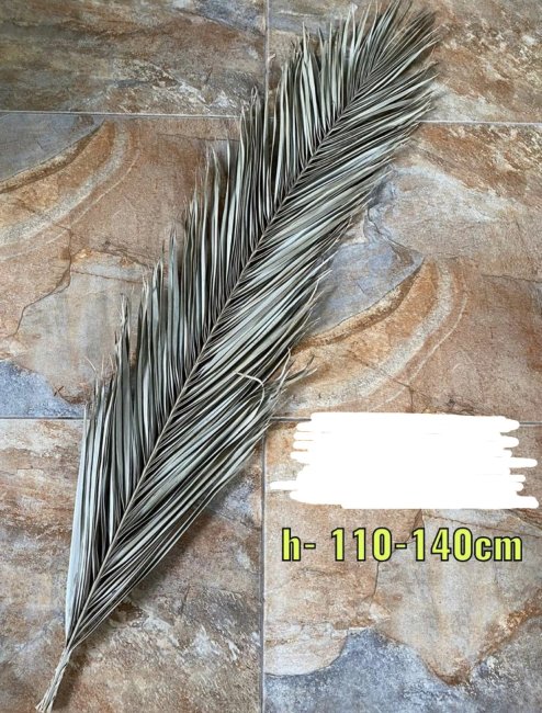 Лист канарского финика Лф 599