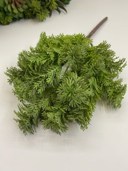 Куст селагинелла Кс 703