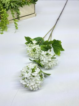 Вибурнум три головы В 1202-4