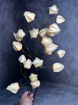 Ветка физалиса Вф 1217-7
