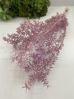 Иглица сухоцвет И 659-2 сирен.