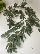 Рускус ампельный Ра 854 Рускус ампельный Ра 854