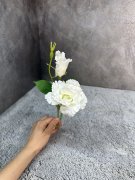 Ветка Эустомы ВЭ 072