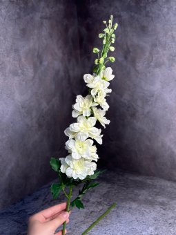 Дельфиниум Д 1445