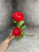 Ветка ранункулюса ВРк 267-4