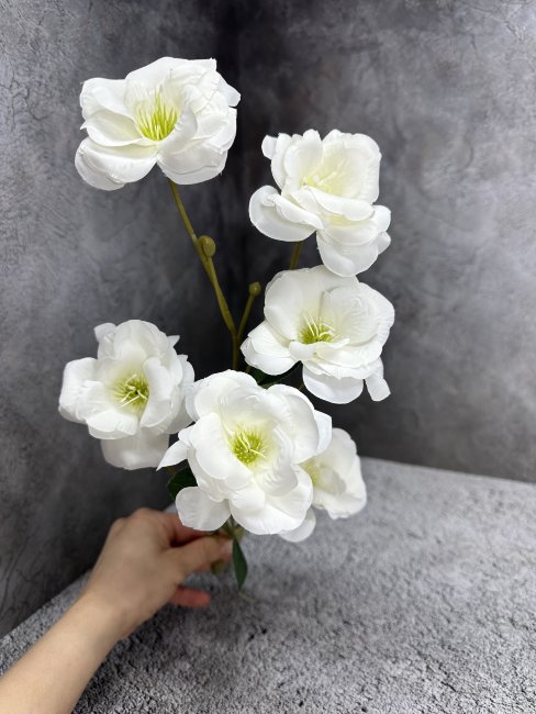 Миндаль М 1712