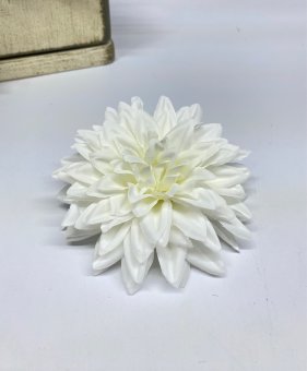 Голова георгина Гг 1266-4