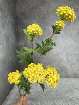 Вибурнум В 1785-3