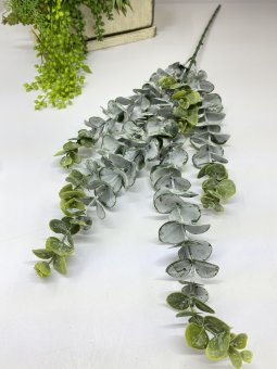 Ветка эвкалипта Вэ 863-2