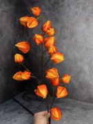 Ветка физалиса Вф 1217-4