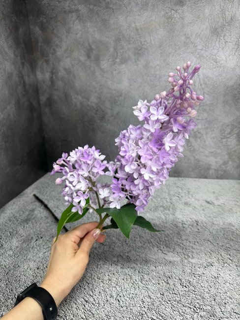 Ветка сирени Вс 1096-5
