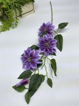 Ветка клематиса Вк 1218-1