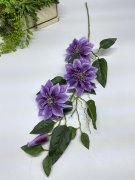 Ветка клематиса Вк 1218-1