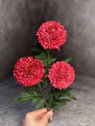 Хризантема Х 1451-5