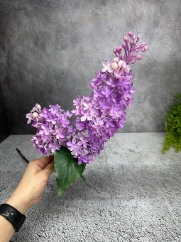 Ветка сирени Вс 1096-6