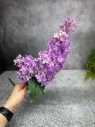 Ветка сирени Вс 1096-6