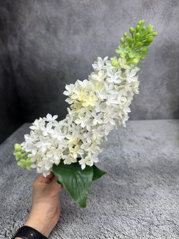 Ветка сирени Вс 1096-7