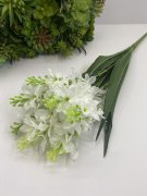 Гиацинт Гц 538-1 бел.