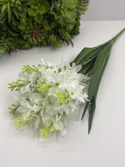 Гиацинт Гц 538-1 бел.