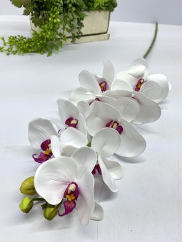 Ветка орхидеи Во 1120-2