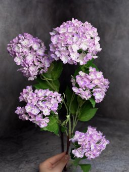 Вибурнум В 1541-4