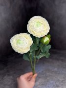 Ветка ранункулюса ВРк 261