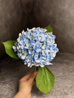 Ветка гортензии Вг 1455-1