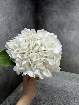 Ветка гортензии Вг 1646-3