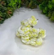 Букет скумпии в срезе БКс 130-4 Букет скумпии в срезе БКс 130-4