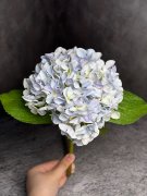 Ветка гортензии Вг 1455-2