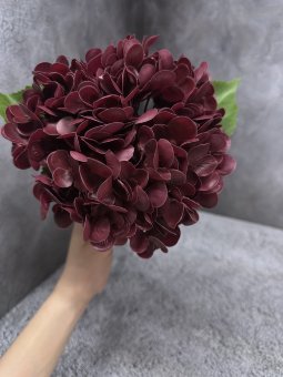 Ветка гортензии Вг 1646-4