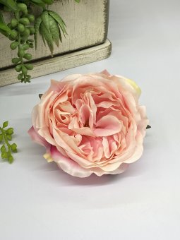 Голова розы пионовидной Гп 922-2