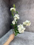Ветка цветущая Вц 1280 Ветка цветущая Вц 1280