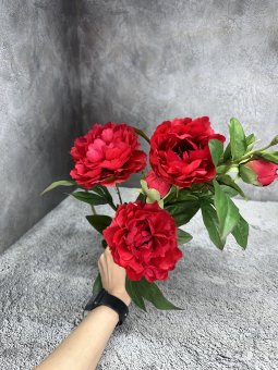 Ветка пиона Вп 1605-3