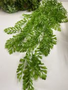 Зелень ампельная Зам 364