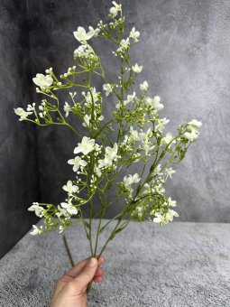 Гипсофила Г 1457