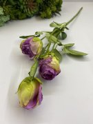 Ветка розы подвядшая ВР 265-3