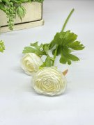 Ветка ранункулюса ВРк 267-3