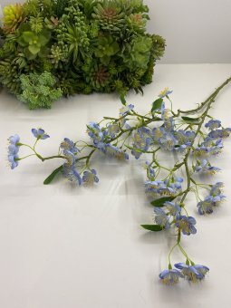Ветка яблони Вяб 546