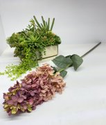 Гортезия метельчатая Гм 1025-4