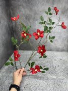 Шиповник Ш 1209-3