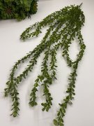 Ракитник амп. 627 Ракитник амп. 627