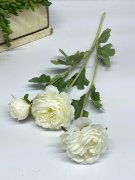 Ветка ранункулюса Вр 1235