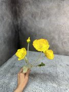 Ветка анемона Ван 819-1