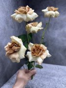 Ветка розы ВР 272 Ветка розы ВР 272