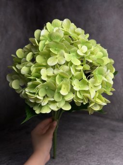 Букет гортензии Бг 1446-7