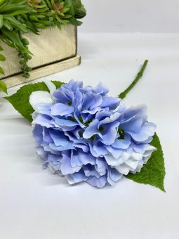 Ветка гортензии Вг 1236-5