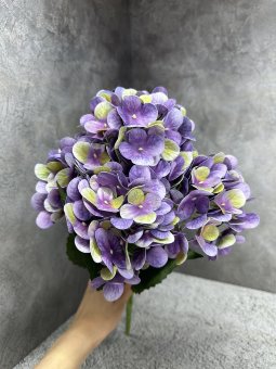 Букет гортензии Бг 1446-8